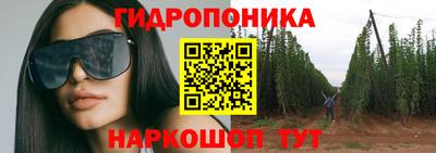 ГАЛЛЮЦИНОГЕННЫЕ ГРИБЫ Свободный