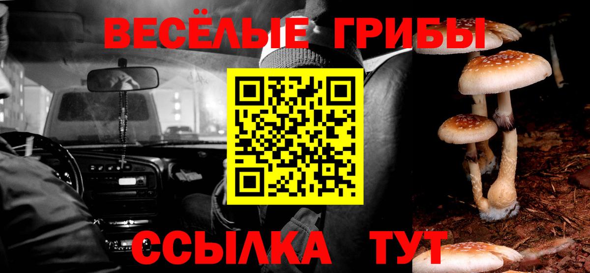 Галлюциногенные грибы мицелий Азов
