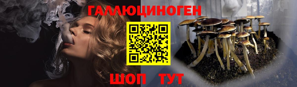 Азов  Псилоцибиновые грибы GOLDEN TEACHER  Вход с VPN  Псилоцибиновые грибы мухоморы 